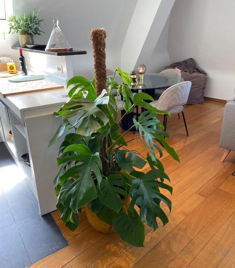 Apartament Definitief Gesloten Ostenda Zewnętrze zdjęcie